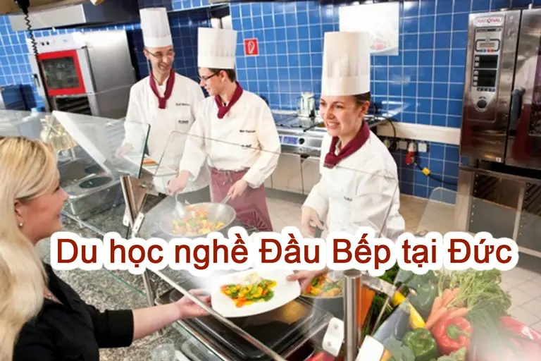 Du học nghề bếp Đức Lợi ích, khóa học, chi phí và cơ hội việc làm