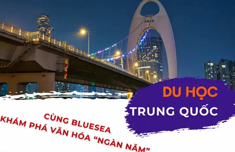 Du học nghề Đức tự túc - Hành trình mở ra cơ hội việc làm và phát triển bản thân