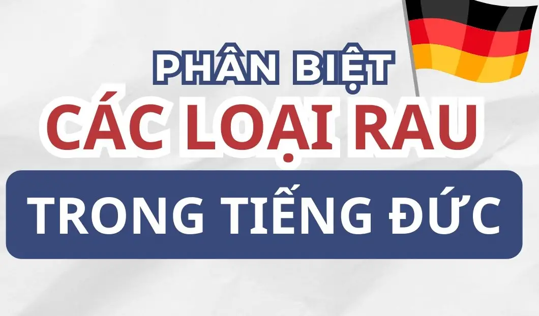 Tiếng Đức chủ đề các loại cây - Khám phá thế giới thực vật qua ngôn ngữ