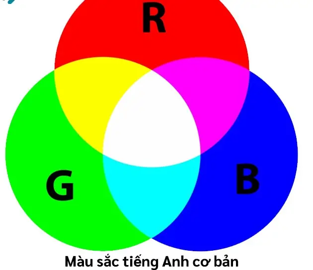 Tìm Hiểu Màu Sắc Trong Tiếng Đức - Khám Phá Thế Giới Đầy Sắc Màu