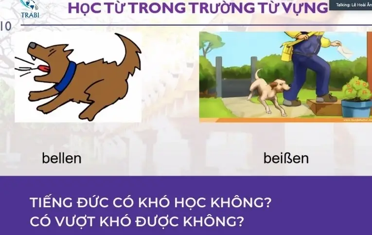 Từ vựng A1-A2 tiếng Đức - Khám Phá Hành Trình Học Ngôn Ngữ